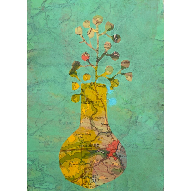 rhus 7