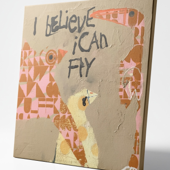 Fly
