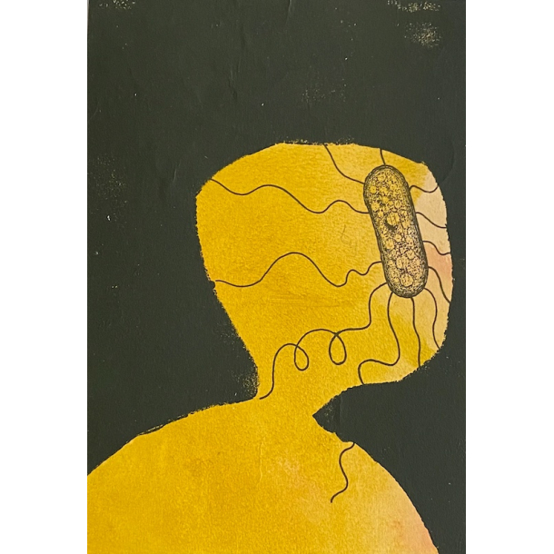 Organisme 197