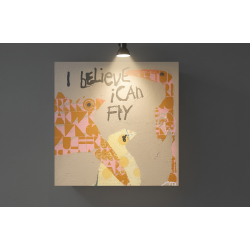 Fly